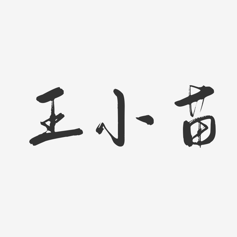 王小苗-行云飞白字体签名设计