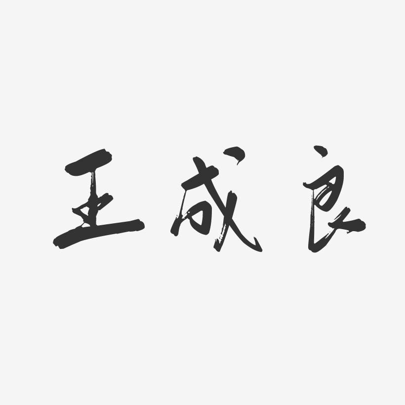 王成良-行云飞白字体签名设计