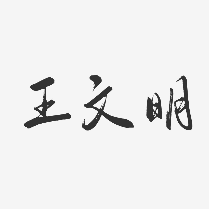 王文明-行云飞白字体签名设计