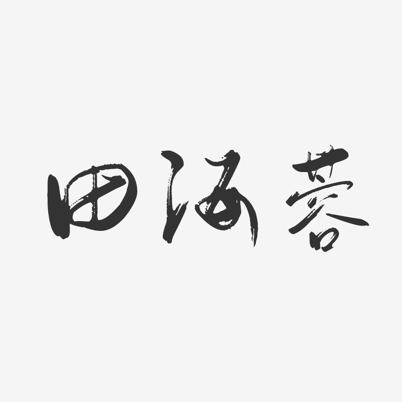 田海蓉-行云飞白字体签名设计
