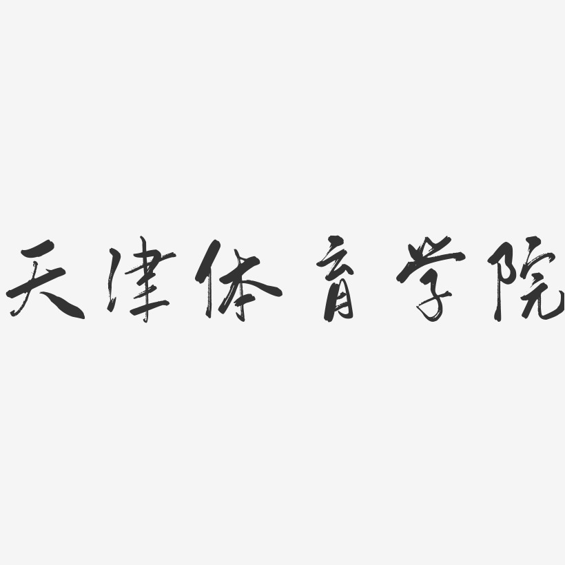 天津体育学院-行云飞白字体设计