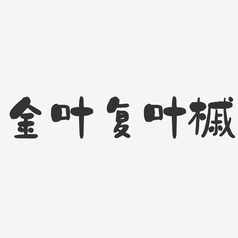 金叶复叶槭-石头体字体排版