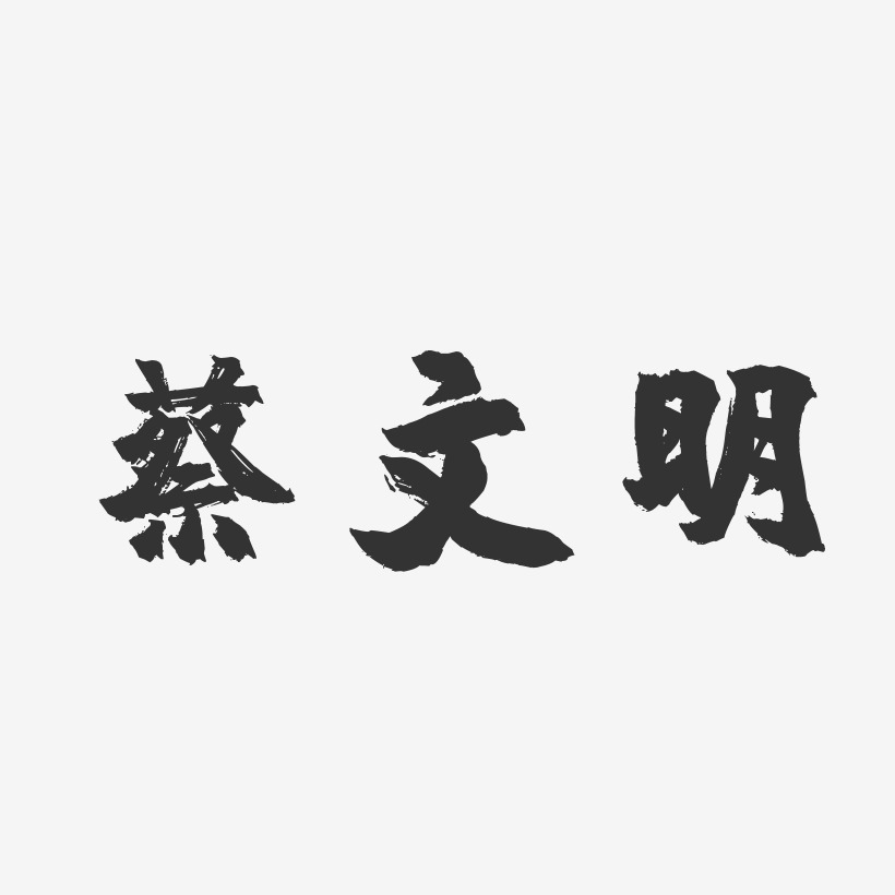 蔡文明-镇魂手书字体个性签名