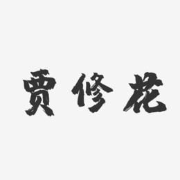 贾修花-镇魂手书字体签名设计
