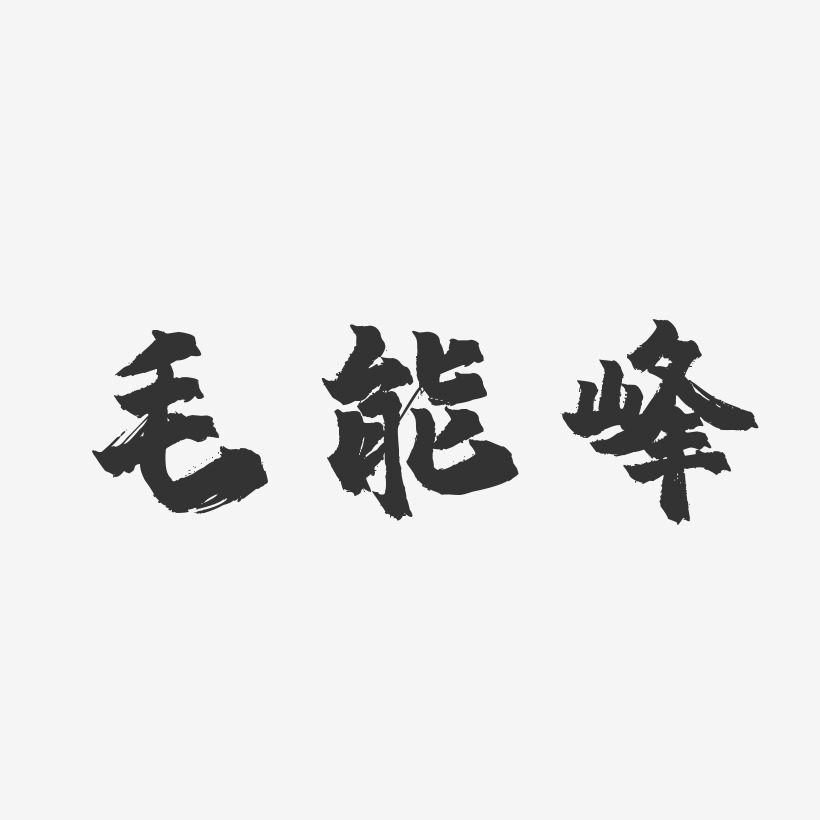 毛能峰-镇魂手书字体艺术签名