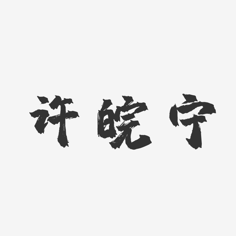 许皖宁-镇魂手书字体签名设计