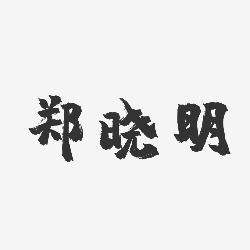 郑晓明-镇魂手书字体艺术签名