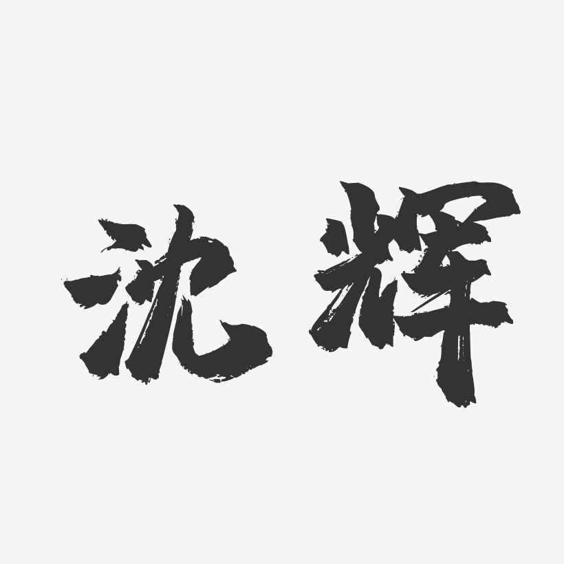 沈辉-镇魂手书字体艺术签名