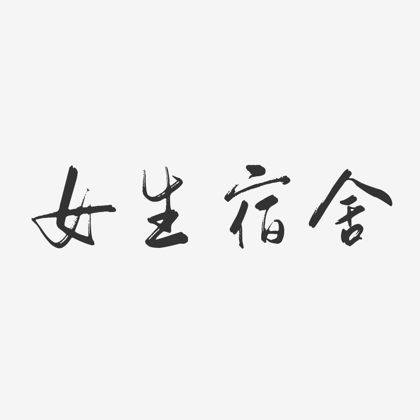 女生宿舍-正文宋楷字體簽名設計瘋狂宿舍-龍吟手書藝術字體女生宿舍