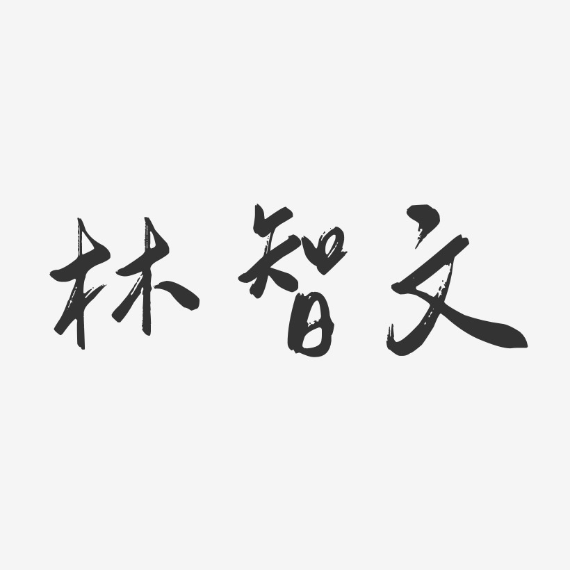 林智文-行云飞白体字体签名设计