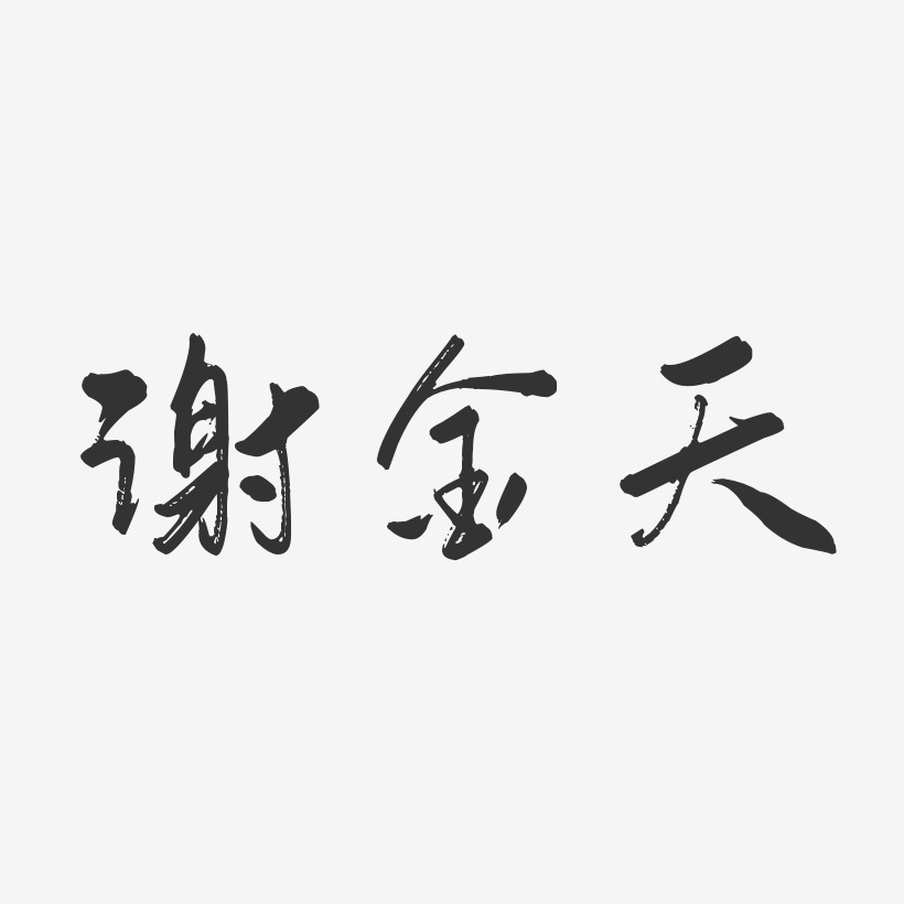 谢金天行云飞白体字体艺术签名