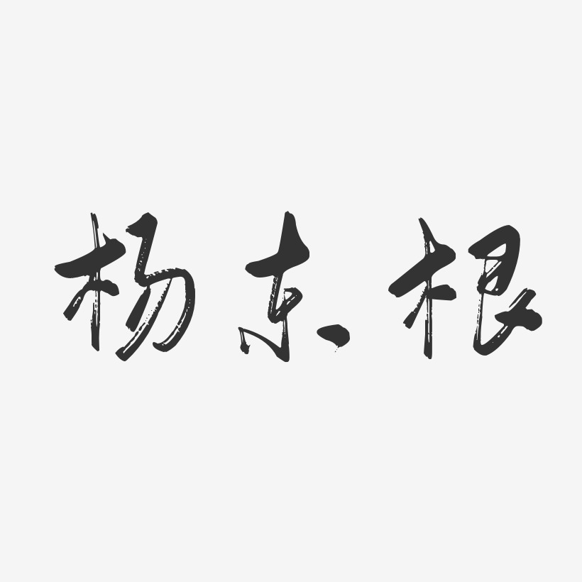 杨东根-行云飞白体字体签名设计