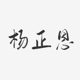 杨正恩-行云飞白体字体签名设计
