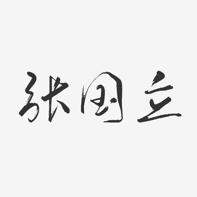张国立-行云飞白体字体艺术签名