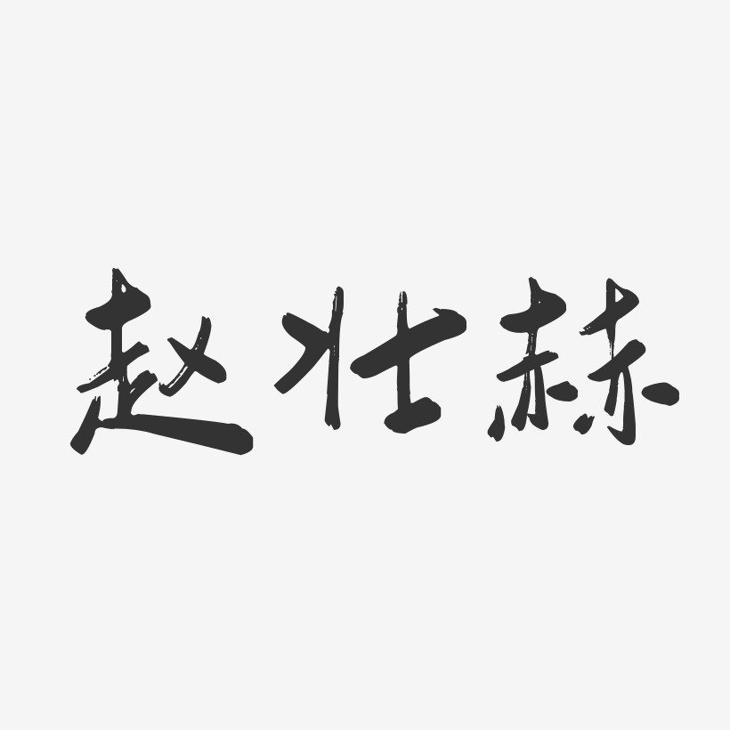 赵壮赫-行云飞白体字体签名设计