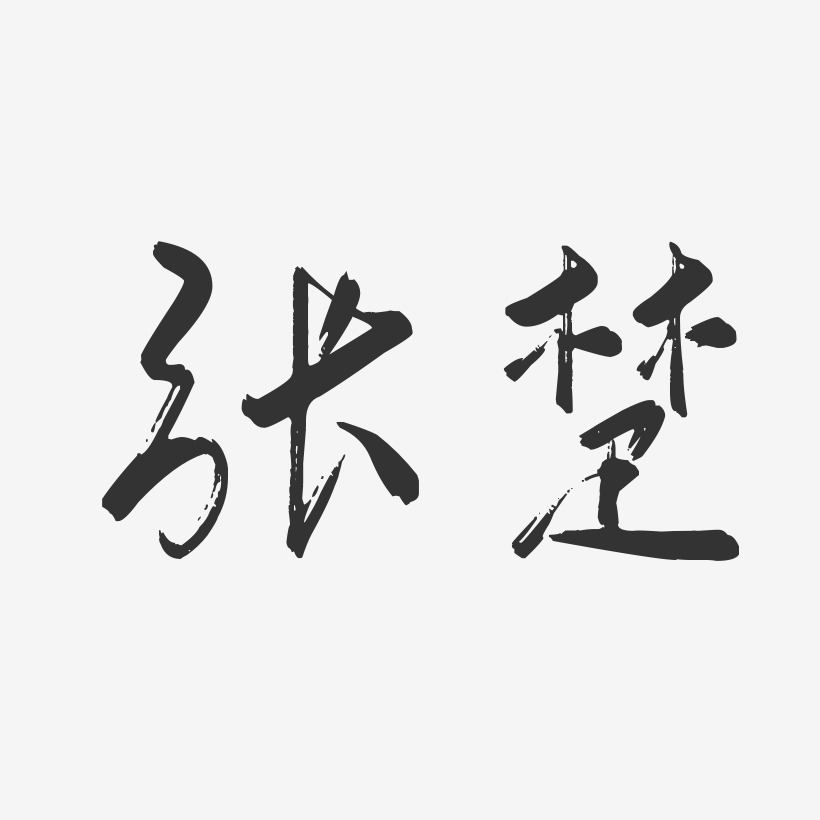 张楚-行云飞白体字体签名设计