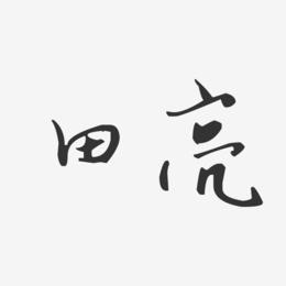 田亮-汪子义星座体字体艺术签名