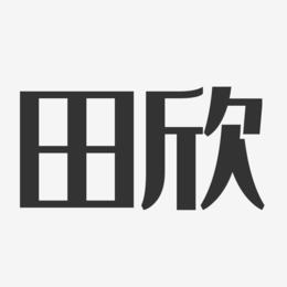 田欣-经典雅黑字体免费签名
