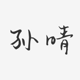 孙晴-汪子义星座体字体签名设计