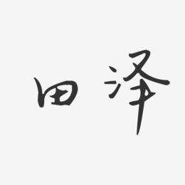 田泽-汪子义星座体字体签名设计