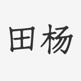 田杨-正文宋楷字体签名设计