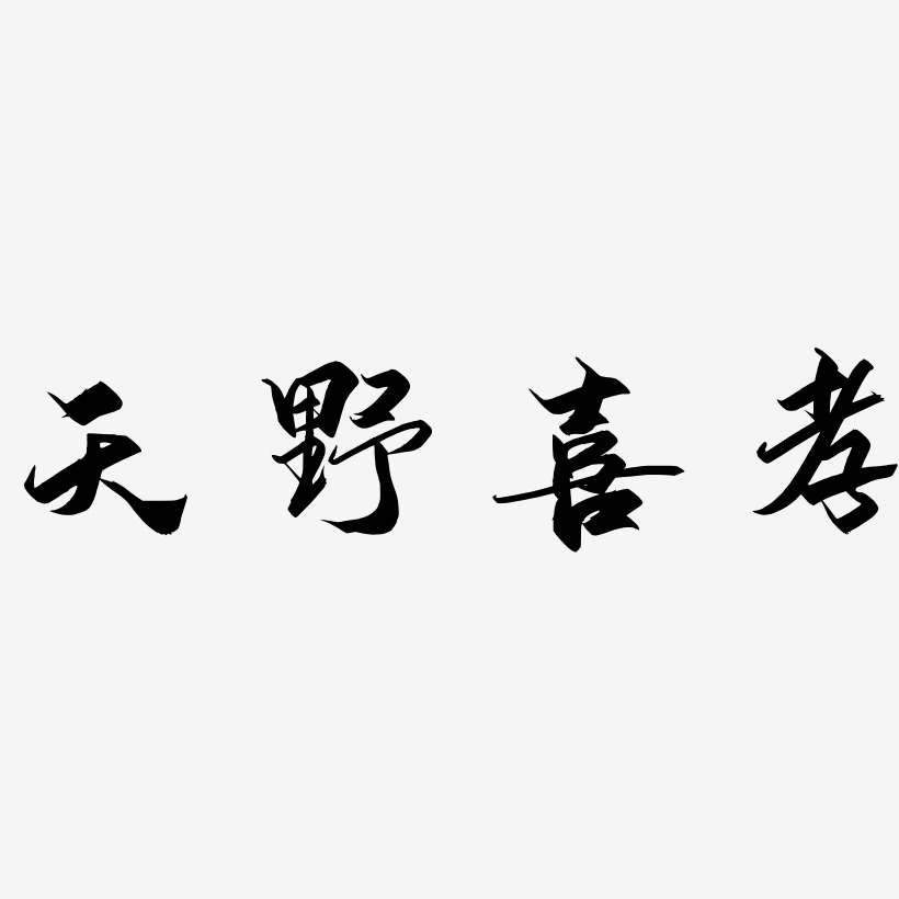 天野喜孝-御守锦书中文字体