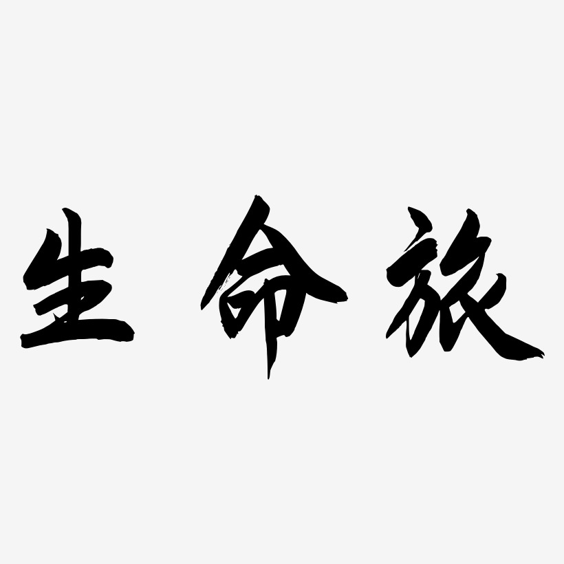 生命旅-飞墨手书中文字体