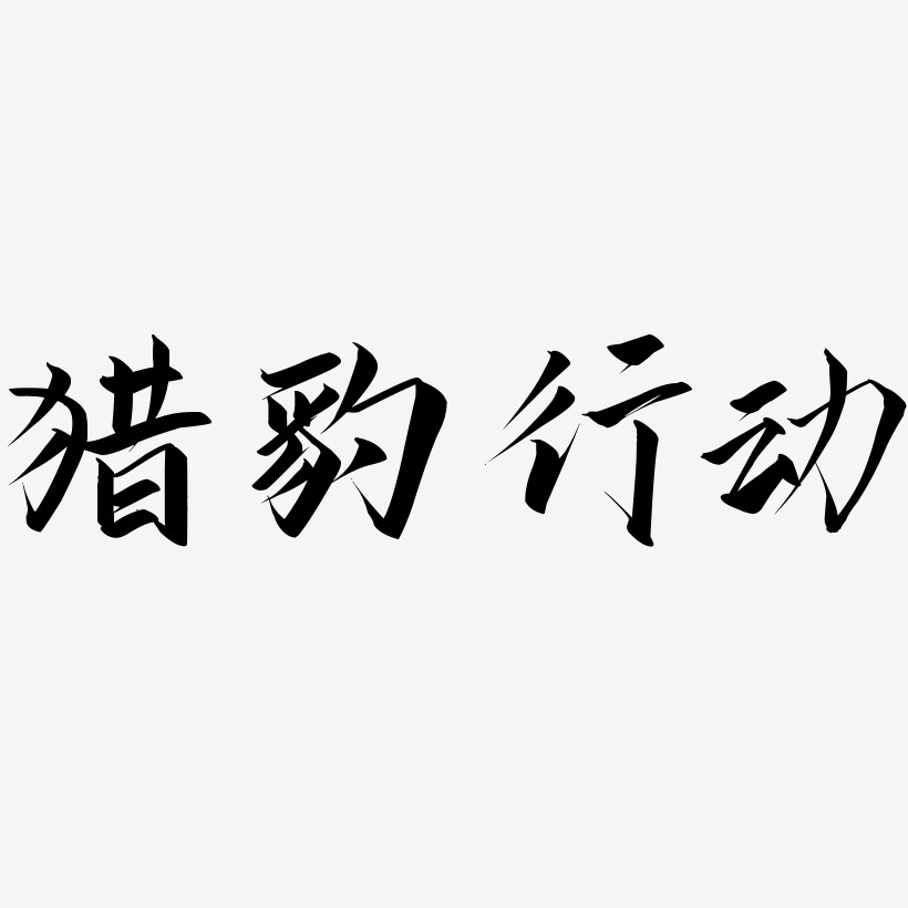 猎豹行动-云霄体文字素材