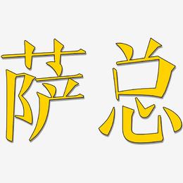 萨总-文宋体艺术字体