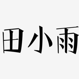 田小雨-文宋体文字设计