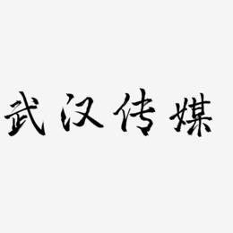 武汉传媒-三分行楷艺术字设计