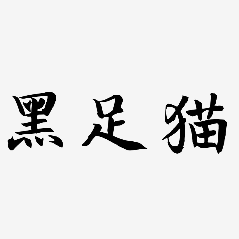 黑足猫-江南手书文字素材