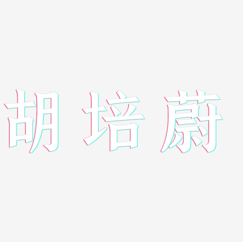 胡培蔚-手刻宋艺术字体