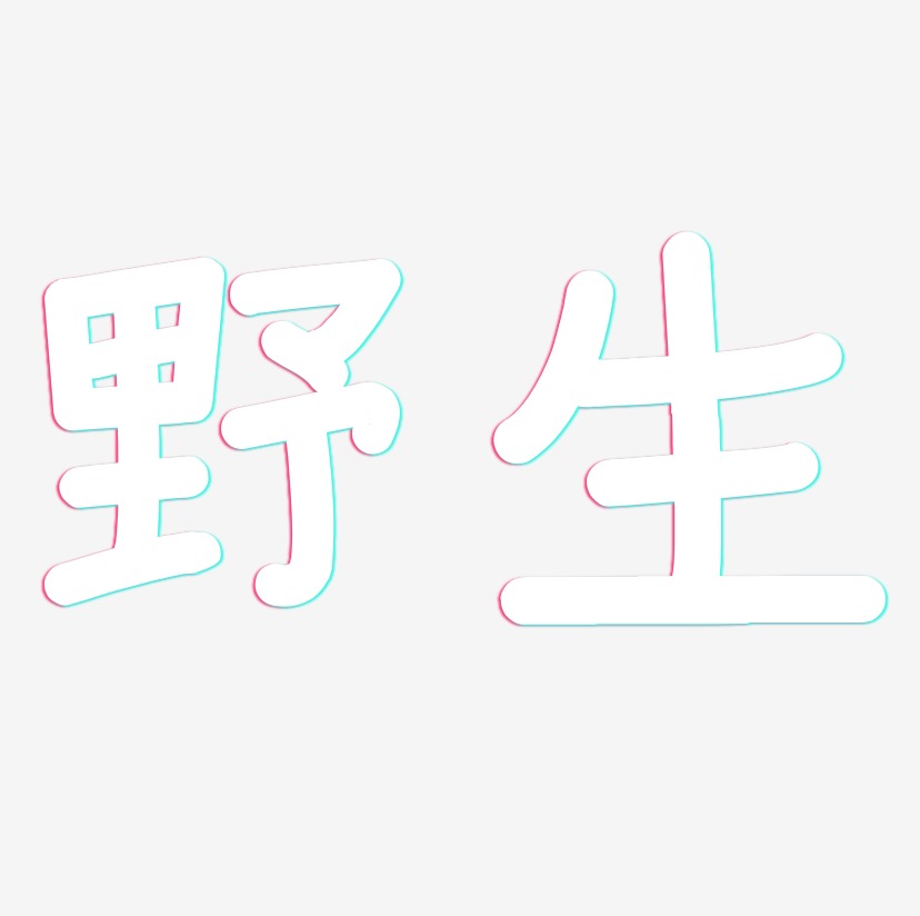 野生-温暖童稚体艺术字体