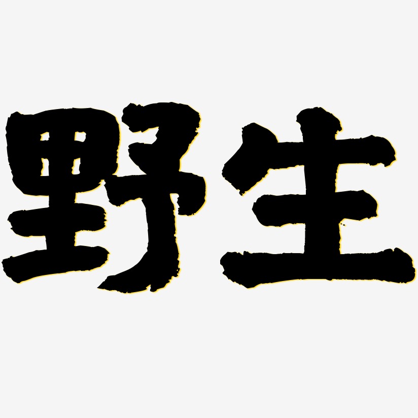 野生艺术字下载_野生图片_野生字体设计图片大全_字魂网