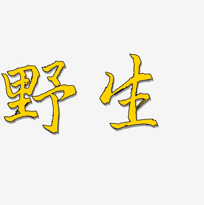野生-三分行楷字体设计