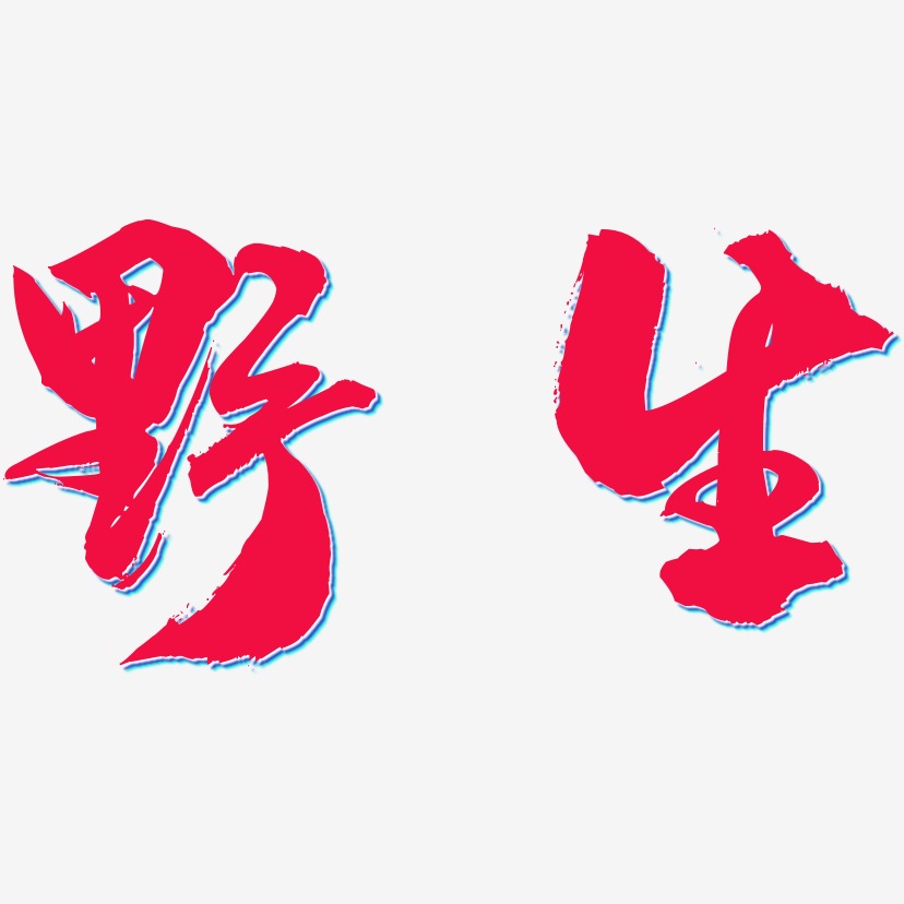 野生艺术字下载_野生图片_野生字体设计图片大全_字魂网