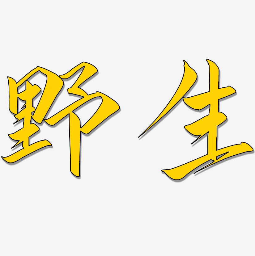 野生-云霄体精品字体