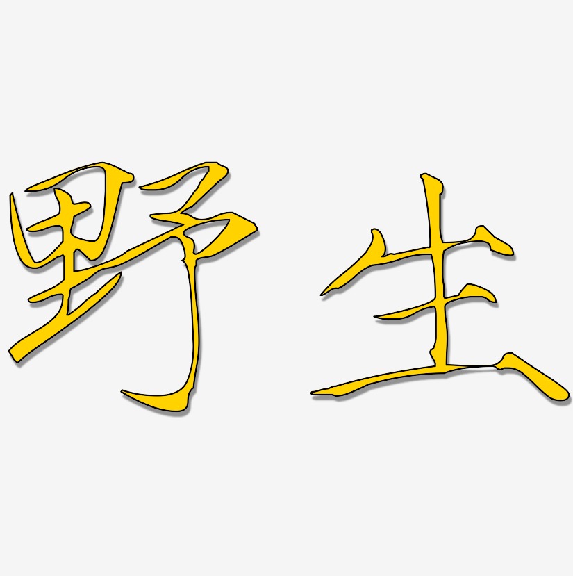 野生-瘦金体个性字体