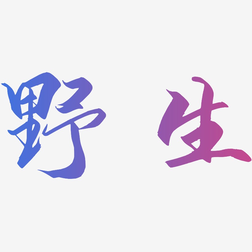 野生艺术字下载_野生图片_野生字体设计图片大全_字魂网