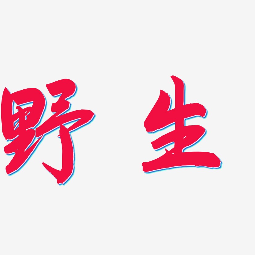 野生字体怎么练图片