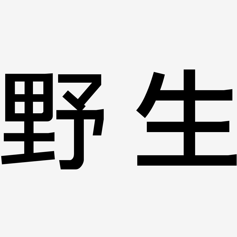 野生-简雅黑简约字体