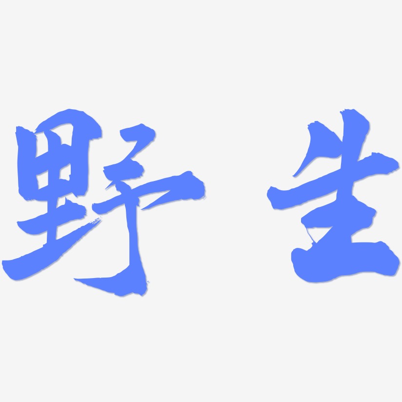 野生-武林江湖体个性字体枸杞长生草-萌趣果冻文字设计枸杞长生草