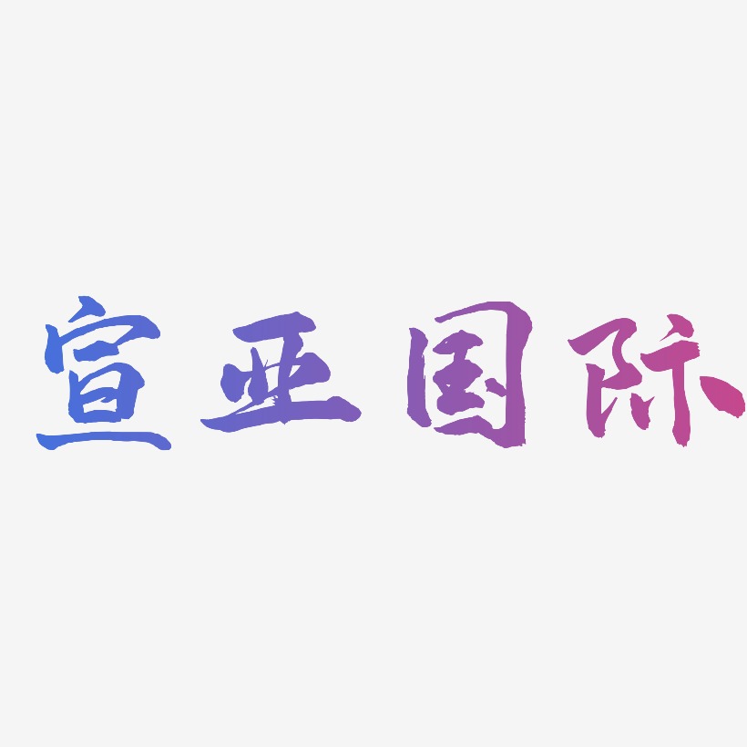 宣亚国际-武林江湖体文字设计