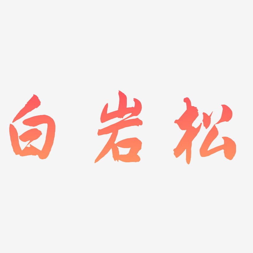 白岩松-飞墨手书字体设计