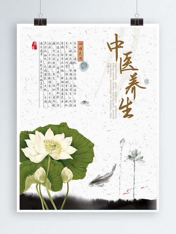 中国风中医养生荷花水墨海报