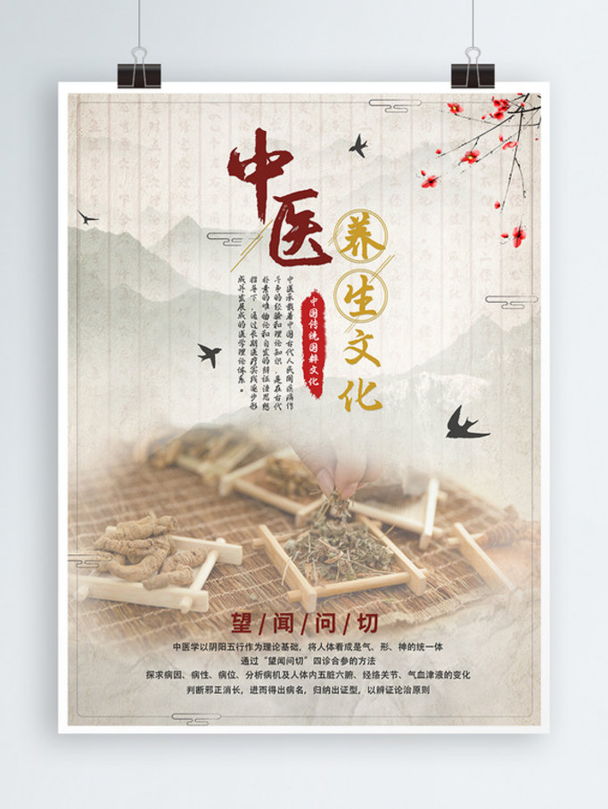 中医养生传统文化宣传海报