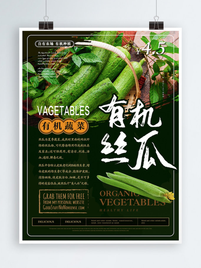简约风有机丝瓜蔬菜主题海报