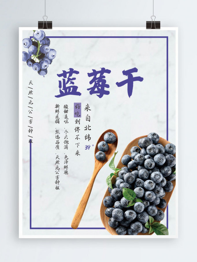 美味蓝莓干促销海报